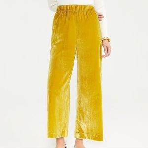 Ann Taylor Velvet Pull On Pant (Sz L) NWT